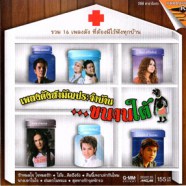 เพลงดังสามัญประจำบ้าน - ขวานใต้ VCD1811-web1